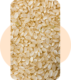 滋賀県産コシヒカリ