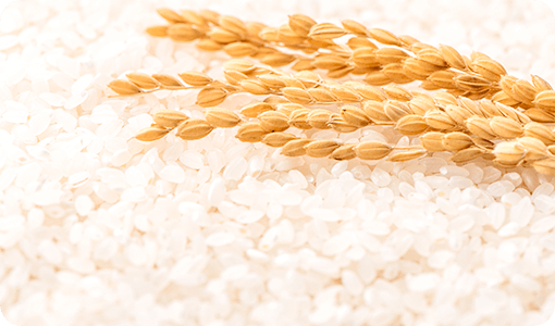 ご飯には栄養いっぱい！